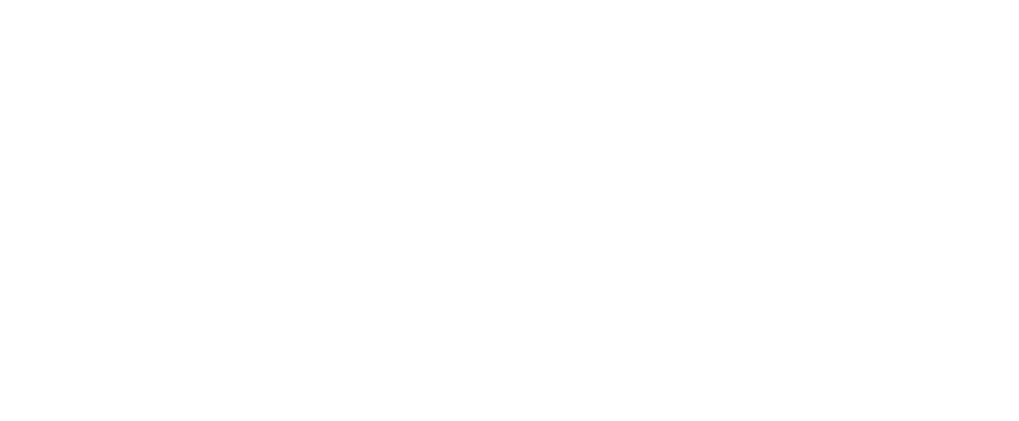ACL Logo