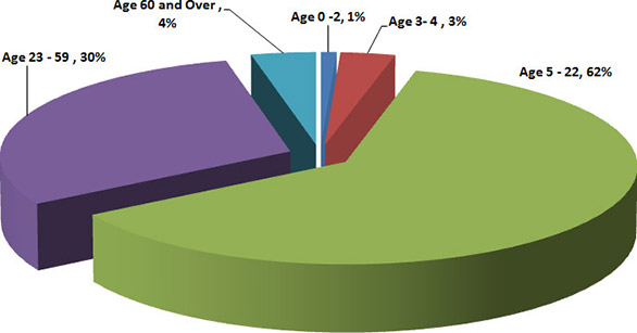 Chart: Clients' Age Groups by age range