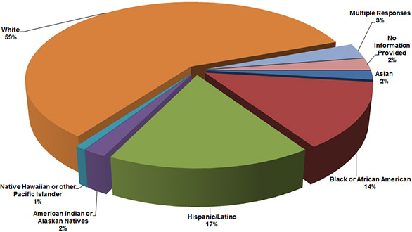 Pie chart of clients by Racial/Ethnic Background